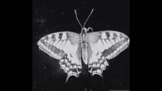 many voices speak- video child but you're in another room listening to the rain (8D)