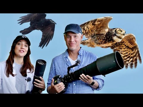 Bird & Wildlife Photography Tips