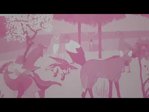 Aula de Educação Infantil do dia 12/08/2020