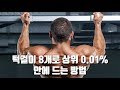 턱걸이 8개만으로 상위 0.01% 안에 드는 방법