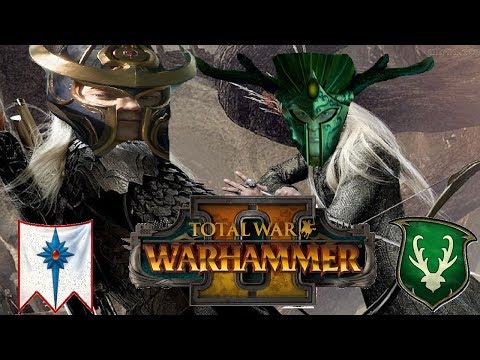 THE PREY | Wood Elves vs High Elves : Mortal Empires - Total War Warhammer 2