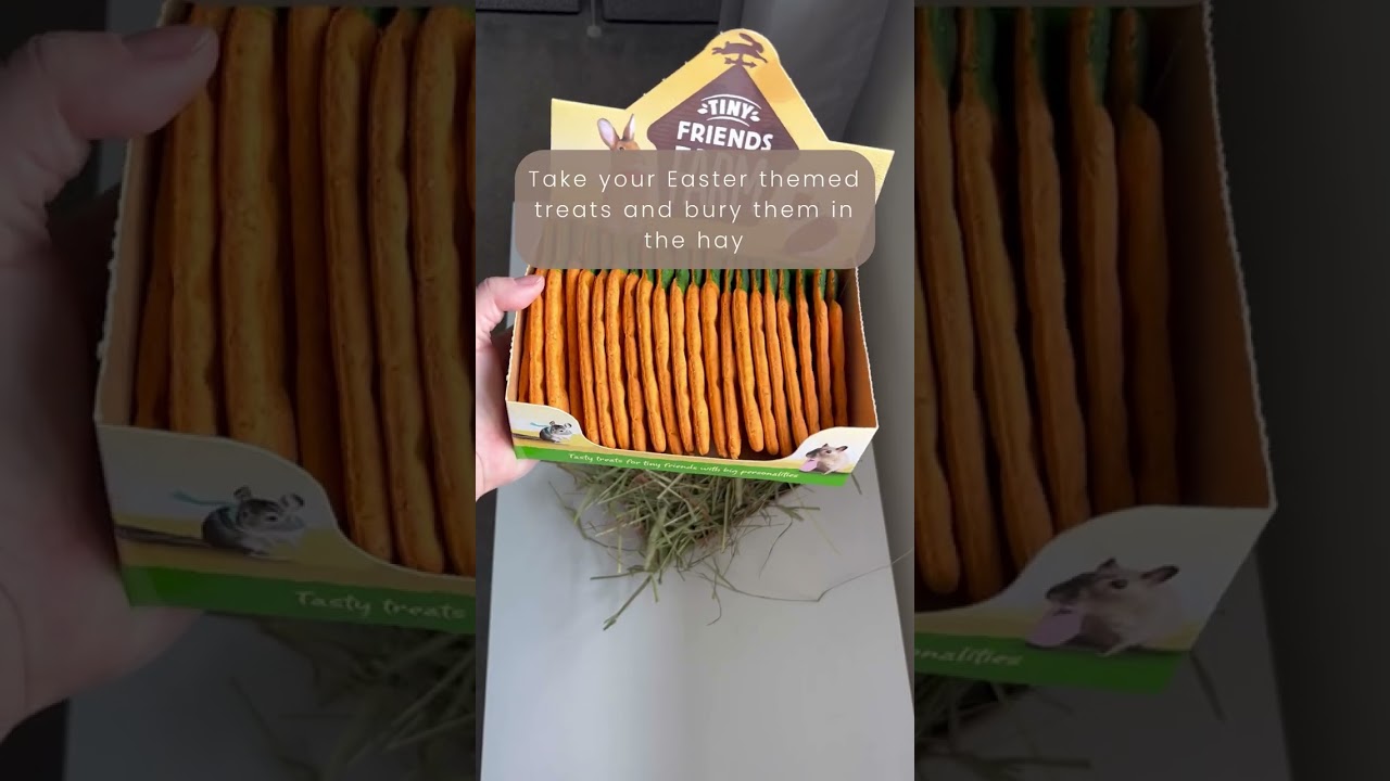 Forage Box Friday | Easter Enrichment Ideas for Guinea Pigs & Rabbits | Carrot Crunchers Pet Treats