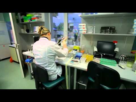 Medical tourism in Latvia, Health travel Riga, Treatment abroad.