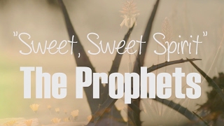 The Prophets  Sweet Sweet Spirit