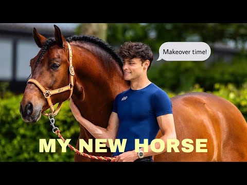 FIRST 24 HOURS WITH MY NEW HORSE + MINI MAKEOVER
