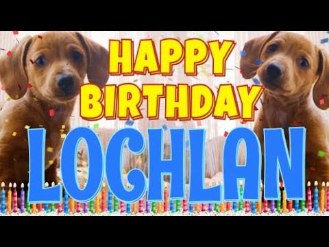Happy Birthday Lochlan! ( Funny Talking Dogs ) What Is Free On My Birthday