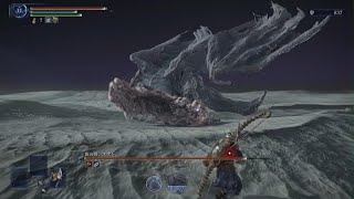 エルデンリングナイトレイン　顎ソロ
