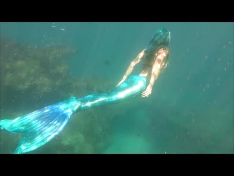 Underwater Hawaii Coral Reef- Sea Turtles, Tropical Fish and a Mermaid Spotted !!