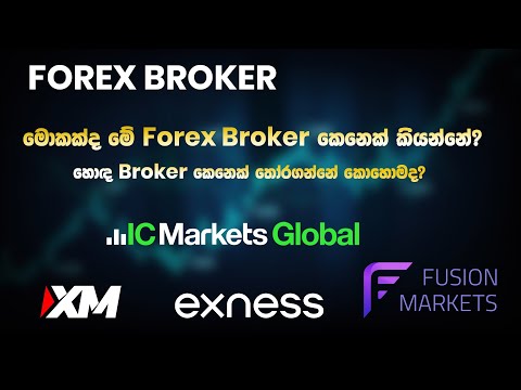 What is a Forex Broker? | Complete Review | සිංහලෙන්