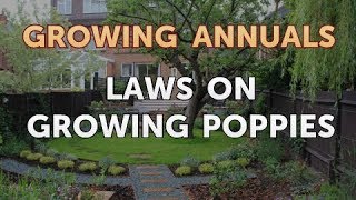 Laws on Growing Poppies