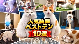 １年間の人気動画TOP１０発表〜第１位は例のアレでした…！