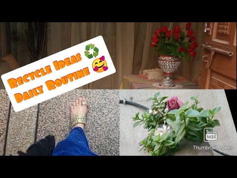 Recycling Ideas ♻️ || Raddish Parathas 😋🤤 || Beautiful Flowers 🌹🌷 ||