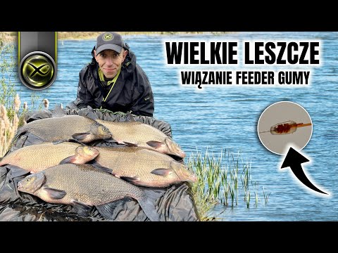 MYSTERIOUS BIG BREAMS AND HOW TO CATCH THEM SUCCESSFULLY – MARCIN KOSTERA and Feeder Coach Marcin