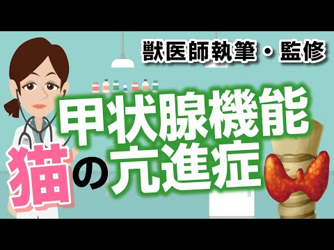 猫の甲状腺機能亢進症 - 症状と治療法
