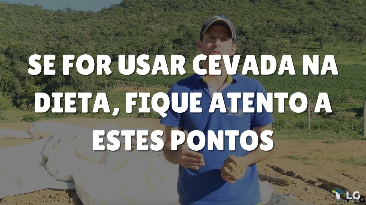 Se for usar cevada na dieta, fique atento a estes pontos