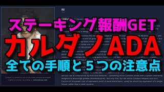 カルダノADA ステーキング報酬ゲット 全ての手順と５つの注意点！カルダノホルダーの神 YUTAさんの秘伝
