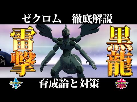 Descargar 珍しい超火力物理電気の使い手伝説 ゼクロム育成論対策 性格 技構築 戦い方 徹底解説 ポケモン剣盾 冠の雪原 Descargar 珍しい超火力物理電気の使い手伝説 ゼクロム育成論対策 性格 技構築 戦い方 徹底解説 ポケモン剣盾 冠の雪原