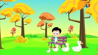 Pop va la belette | Chansons pour enfants | Préscolaires Chansons | Pop Goes The Weasel Song