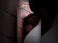 Dilnashi Dilnashi Emran Hashmi Full Screen Status