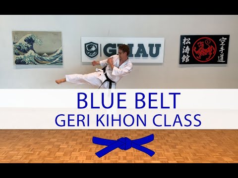 Shotokan Karate - 5th Kyu Blue - Geri Kihon Class thumbnail