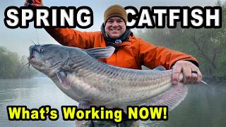 Spring Catfish Tricks: Flathead & Blue Tactics That Work