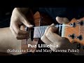 Yoo Sik Ro (노유식) plays "Pua Lililehua" by Kahauanu Lake and Mary Kawena Pukui
