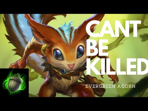 Ratatoskr Support with the Evergreen Acorn! Arena | Smite