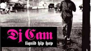 Dj Cam - Love junkee Feat Cameo and J Dilla (J Dilla Remix)