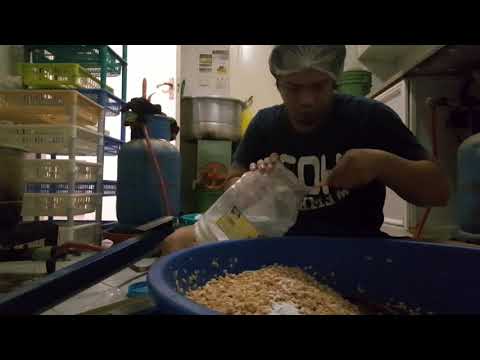 jauh jauh ke abu dhabi bikin tempe