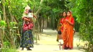 English Documentary on CDSP Project