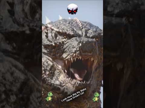 Animal Transformation. Before & After! 😎✨ #shorts #animals #beforeandafter