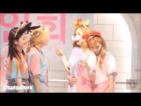 [FMV] Mina & Momo [Mimo] - Why (Taeyeon)