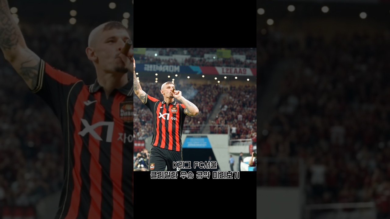 우승 세레머니 다 봤다#fc서울 #fcseoul #k리그 #축구 #ai