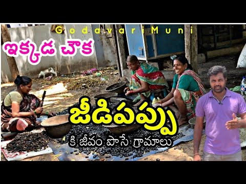 Andhrapradesh Dr Br Ambadkar Konasema Distict  Cashew Nut Low Cost By@Godavarimuni