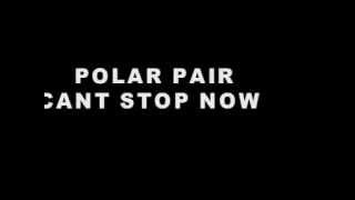 POLAR PAIR CANT STOP NOW
