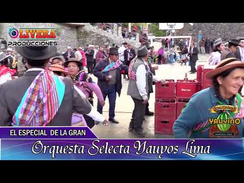 PALLA ESPECIAL SELECTA YAUYOS LIMA