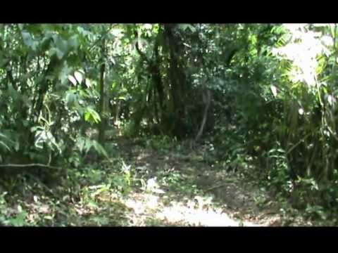 Recrutas da Lama 2013 - Trilhas