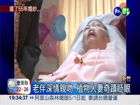 遲了55年... 翁為植物人妻披婚紗