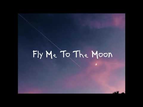 The Macarons Project - Fly Me To The Moon  [ 1 HOUR ]