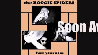 Boogie Spiders - I Changed My Mind - FUZZ YOUR SOUL!