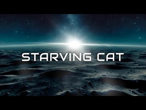 Trailer de Starving Cat