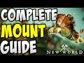 Complete Mount Guide | Everything You Need to Know About Mounts in New World!