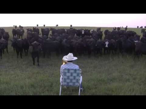 Farmer Summons Cattle by Playing Lorde's 'Royals' on Trombone