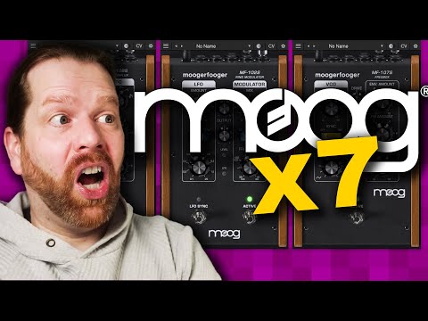 Free Download Moog Music Plugins Bundle v2024 WiN-R2R