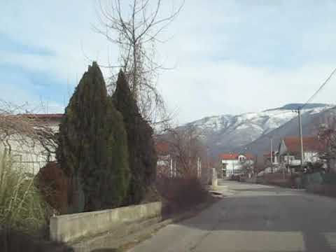 LJESKOVAC 24 01 2011 god  1