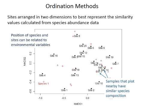 Species composition and diversity