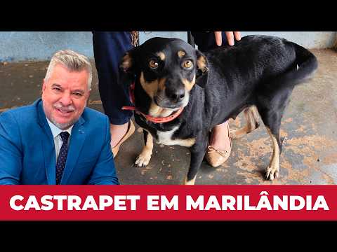 DEPUTADO JACOVÓS BENEFICIA MARILÂNDIA DO SUL COM O CASTRAPET