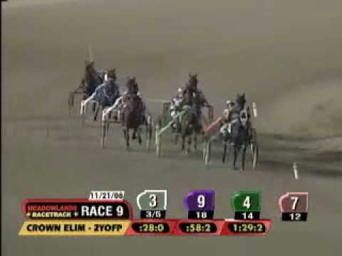 2YO Filly Pace Brian Sears