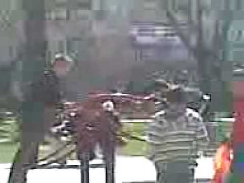 Salbatici din bratesti in civilizatie