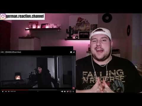 LUIS – ZWANNIS   REACTION